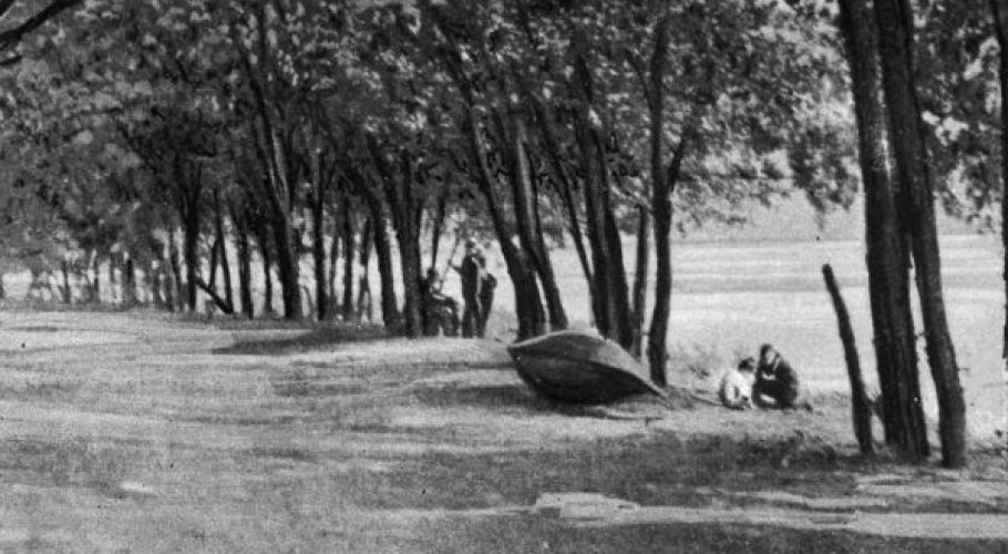 Scene at Walnut Beach Park, Sewickley, Pa